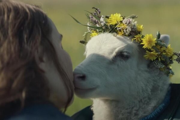 lamb_04