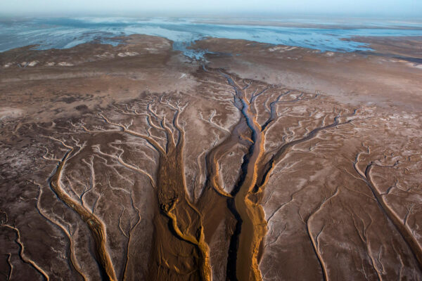 McBride_CORiverDelta_140327_08878740